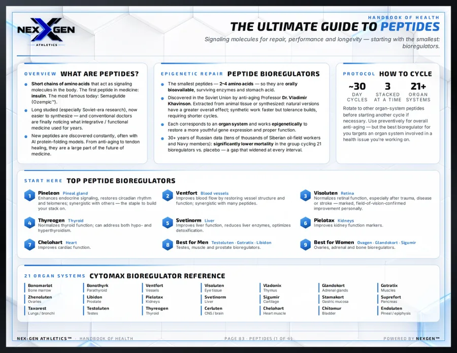 The Ultimate Guide to Peptides infographic spread